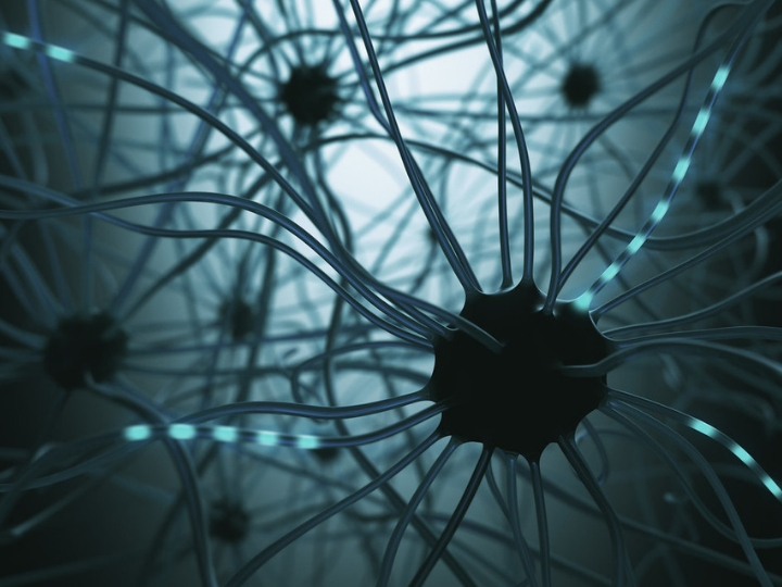 brain-neuron-getty-newsroom1