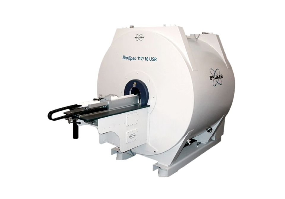Bruker MRI Image