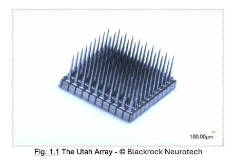 Attribution Example - Blackrock Neurotech